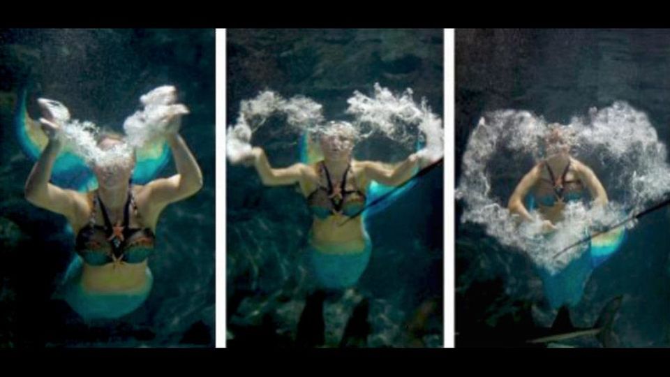 Three images of swimmers posing underwater