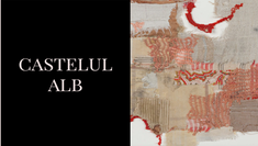 In text 'Castelul Alb' next to an abstract image