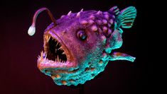 Recreation of a deep-sea fish, to be used as a prop