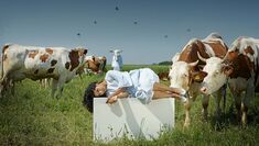 Production image for Analogue’s show Sleepless, featuring a woman in a medical gown lying in a field surrounded by cattle
